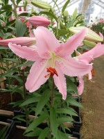 [4356 Chelsea DJ No202.JPG]